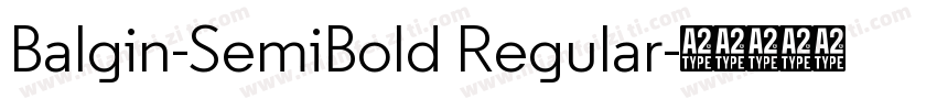 Balgin-SemiBold Regular字体转换